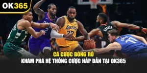Cá Cược Bóng Rổ - Khám Phá Hệ Thống Cược Hấp Dẫn Tại OK365