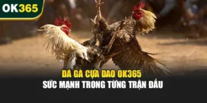 Đá Gà Cựa Dao OK365 – Sức Mạnh Trong Từng Trận Đấu