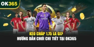 Kèo Chấp 1.75 Là Gì? Hướng Dẫn Chơi Chi Tiết Tại OK365