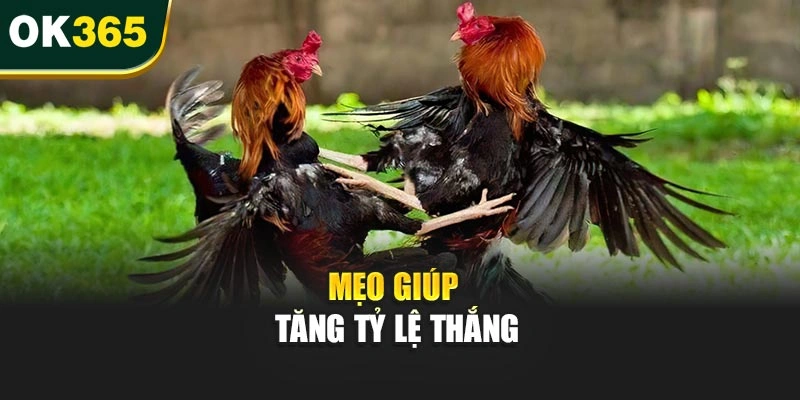 Mẹo giúp tăng tỷ lệ thắng